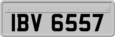 IBV6557