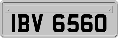 IBV6560