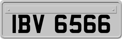 IBV6566