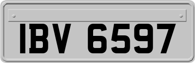 IBV6597