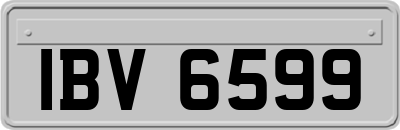 IBV6599