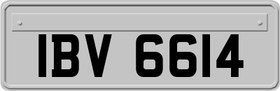 IBV6614