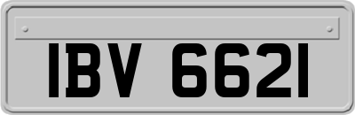 IBV6621