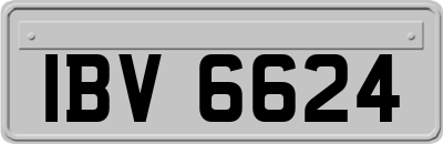 IBV6624