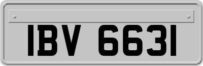 IBV6631