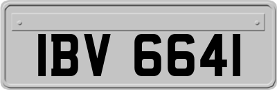 IBV6641