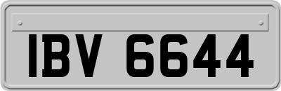 IBV6644