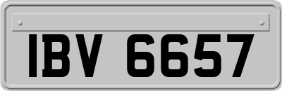 IBV6657