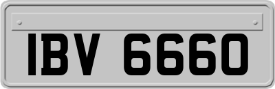 IBV6660