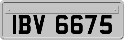 IBV6675