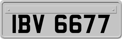 IBV6677