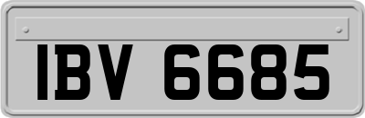 IBV6685