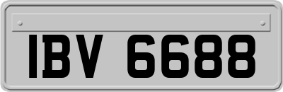 IBV6688