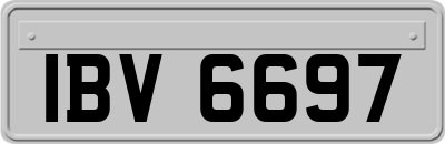 IBV6697