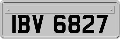 IBV6827