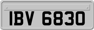 IBV6830