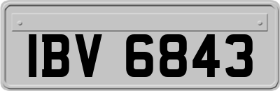IBV6843