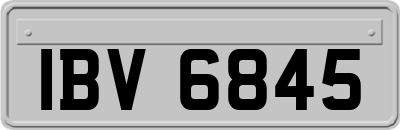 IBV6845