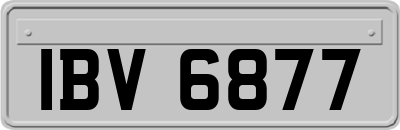 IBV6877