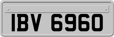 IBV6960