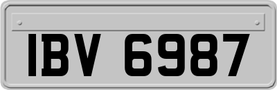 IBV6987