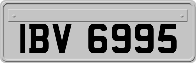 IBV6995