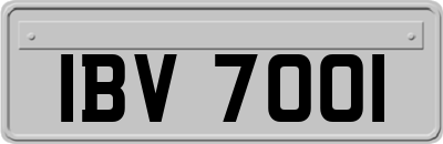 IBV7001