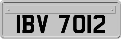 IBV7012