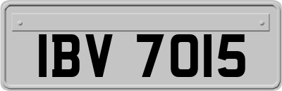 IBV7015