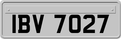 IBV7027