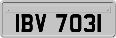 IBV7031