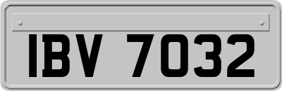 IBV7032