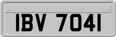 IBV7041