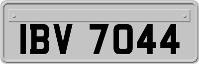 IBV7044