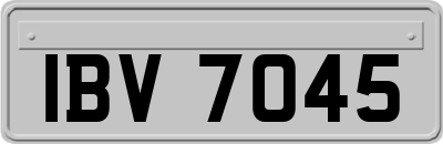 IBV7045