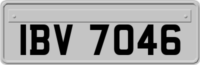 IBV7046