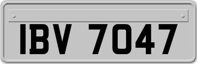 IBV7047