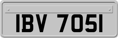 IBV7051