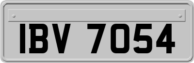 IBV7054