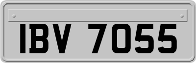 IBV7055