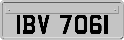 IBV7061
