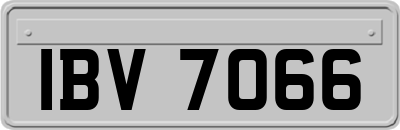 IBV7066