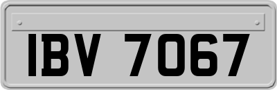 IBV7067