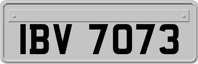 IBV7073