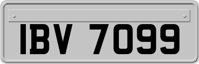 IBV7099