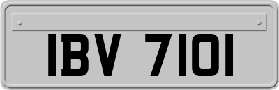 IBV7101