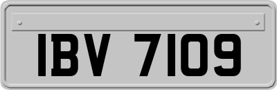 IBV7109