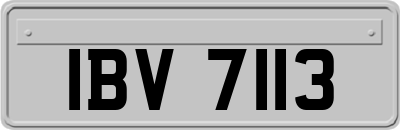 IBV7113