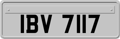 IBV7117