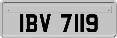 IBV7119